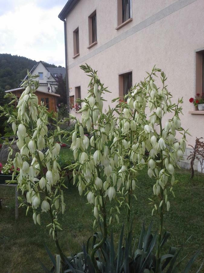 Ferienwohnung Buechsenhof Prossen Екстериор снимка